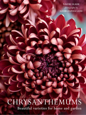 cover image of Chrysanthemums